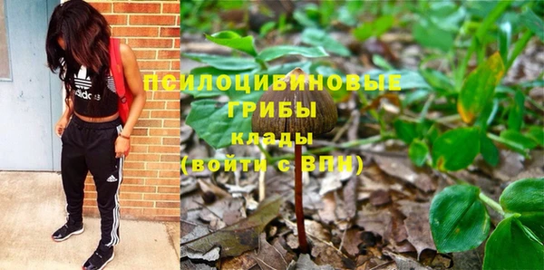 spice Медвежьегорск