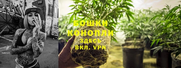 мдпв Мегион