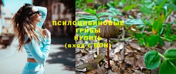 spice Медвежьегорск