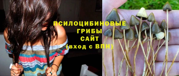 дурь Магадан