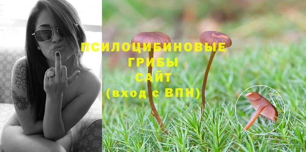 гашиш Медногорск