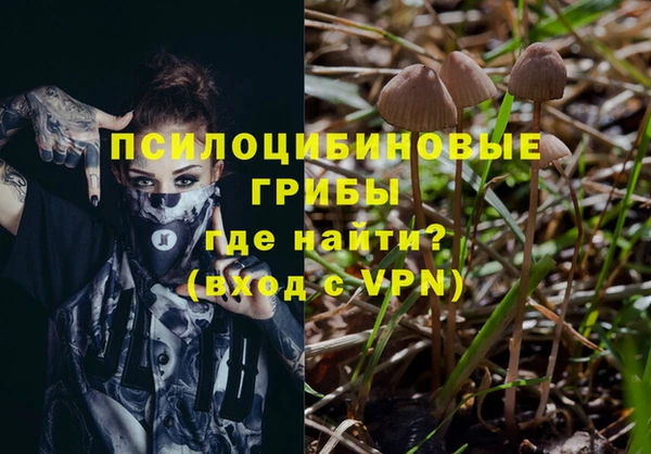 мдпв Мегион
