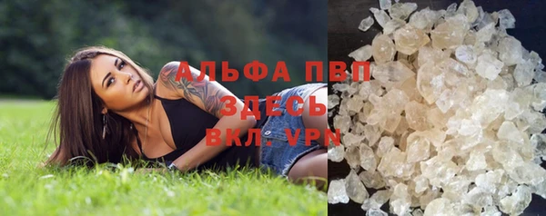 spice Медвежьегорск