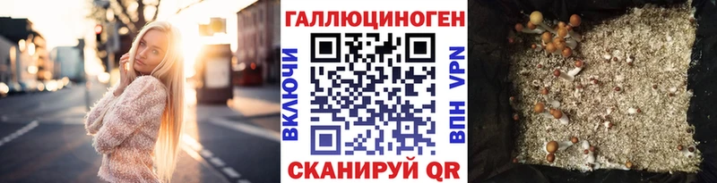 ссылка на мегу как войти  где купить наркоту  Северск  Псилоцибиновые грибы мухоморы 