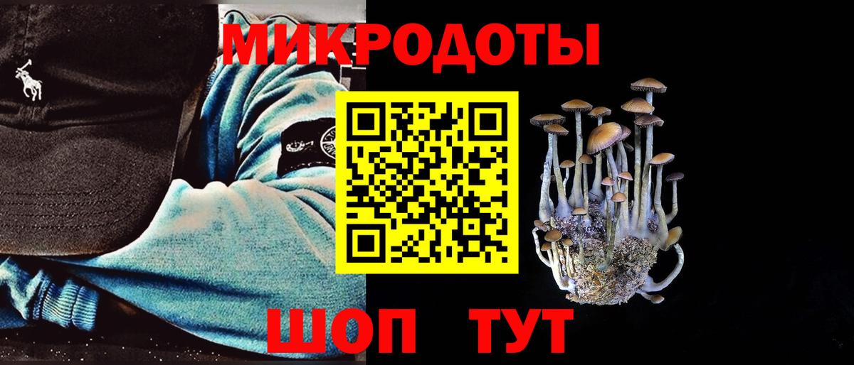Северск  Псилоцибиновые грибы мухоморы  Галлюциногенные грибы Magic Shrooms  закладки  Вход с VPN 