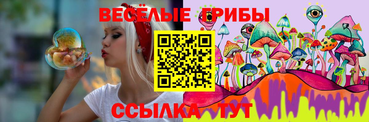 Псилоцибиновые грибы Cubensis  Северск 